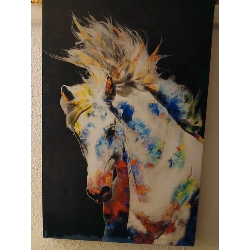 19" x 30" Colorful Horse on Canvas Print Art Wall